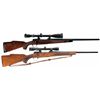 Two Winchester Model 70 Bolt Action Rifles