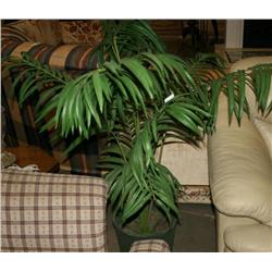 Fake House Plant