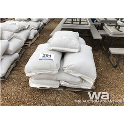 (10) BAGS COMMON MEADOW BROME SEED