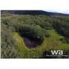 Image 17 : SE3-79-13-W6 - 62.24 ACRE PARCEL