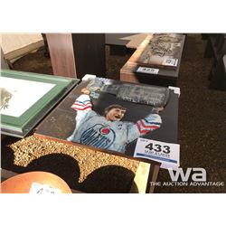 ARTWORK “STANLEY CUP”