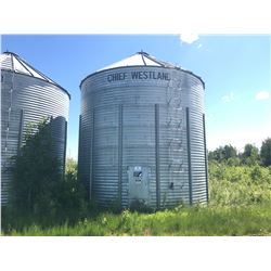 LOCATION 3: 19 FT. 6 RING CHIEF WESTLAND GRAIN BIN