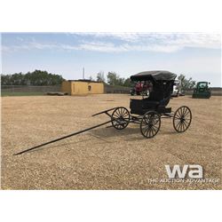 DOCTOR'S BUGGY