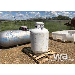 PROPANE PIG