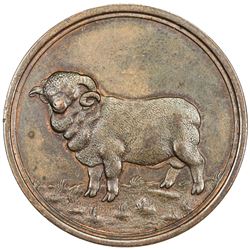 URUGUAY: AE 100 cuaro token (22.51g), ND (ca. 1890?). EF