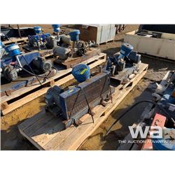 (2) INDUSTRIAL AIR PUMPS