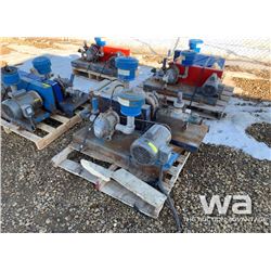 (2) INDUSTRIAL AIR PUMPS