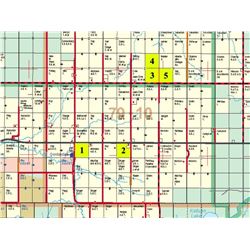 NE 9-79-10-W6