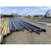 Image 1 : 8", 3" INSULATED PIPE