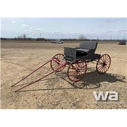 DOCTOR'S BUGGY