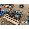 Image 2 : (2) 2" WATER PUMPS