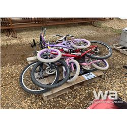 (2) ADULT BIKES