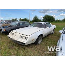 1981 PONTIAC TRANS AM CAR