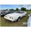 Image 1 : 1981 PONTIAC TRANS AM CAR
