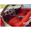 Image 6 : 1981 PONTIAC TRANS AM CAR