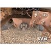 Image 22 : 2005 KENWORTH T800 TANK TRUCK