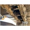 Image 20 : 1998 CATERPILLAR 320B EXCAVATOR