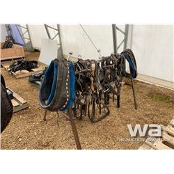 TEAM HARNESS