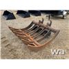 Image 1 : BRUSH RAKE