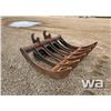 Image 2 : BRUSH RAKE