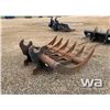 Image 3 : BRUSH RAKE