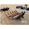 Image 4 : BRUSH RAKE