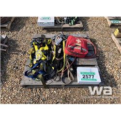 SAFETY HARNESS