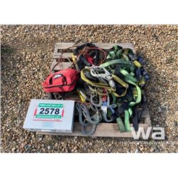 SAFETY HARNESS