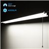 Image 4 : (16) 40W LINKABLE WORK LIGHTS