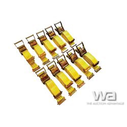 (10) 2" X 20 FT. RATCHET CARGO STRAPS