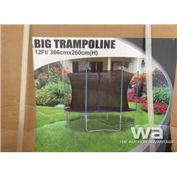 12 FT. TRAMPOLINE