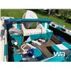 Image 8 : CAMPION SOVERN BOAT