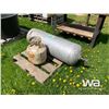 Image 2 : 100 LB & 20 LB PROPANE BOTTLES