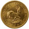 Image 2 : SOUTH AFRICA: Elizabeth II, 1952-, AV pound, 1960, Choice AU