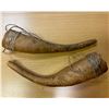 Image 1 : INDONESIA: Western New Guinea, LOT of 2 penis shields, VF