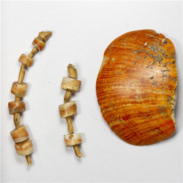 PAPUA NEW GUINEA: Rossel Island (Yela), SET of two shell monies, VF