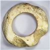 Image 1 : SOLOMON ISLANDS: New Georgia Islands, mbarake shell ring (540g), VF