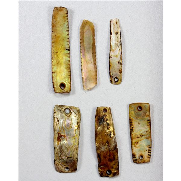 UNITED STATES:  LOT of 6 prehistoric abalone shells