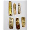 Image 1 : UNITED STATES:  LOT of 6 prehistoric abalone shells