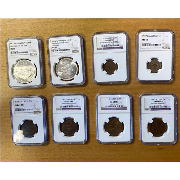 EGYPT & PALESTINE: LOT of 8 slabs