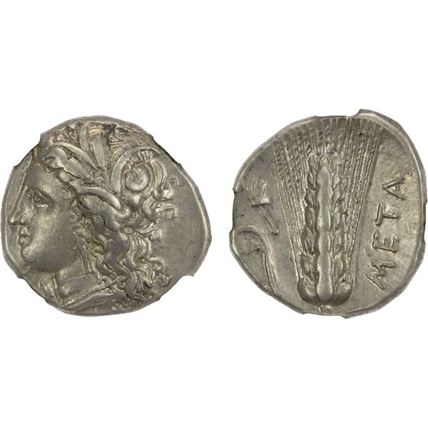 LUCANIA: Metapontum, AR stater, ca. 330-290 BC, NGC XF