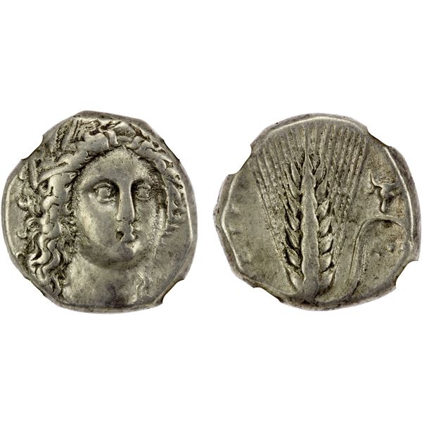 LUCANIA: Metapontum, AR stater, ca. 330-290 BC, NGC VF