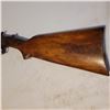 Image 3 : New White Powder 12ga  Shotgun