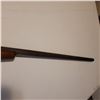 Image 9 : New White Powder 12ga  Shotgun