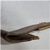 Image 11 : Mauser 1917 Bayonet