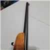 Image 10 : Mossberg New Haven Model 250C .22 semi-auto rifle