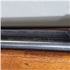 Image 13 : Mossberg New Haven Model 250C .22 semi-auto rifle