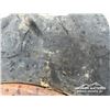 Image 7 : (2) SKIDDER TIRES & CHAINS