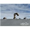 Image 5 : 4000 GALLON FUEL TANK