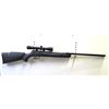 Image 10 : Gamo Big Cat 1200  .22 Caliber Air Rifle 1200fps  PAL Required